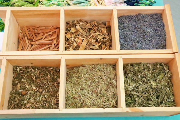 ��������飬���t(y��)������|������(��i)�S�����t(y��)Ժ�e�k�������t(y��)�x�\���(d��ng)