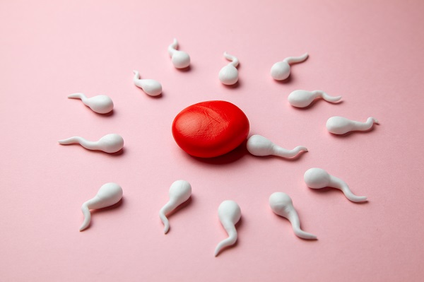 做人工授精期間是不是也要促排?促排會影響卵巢嗎?